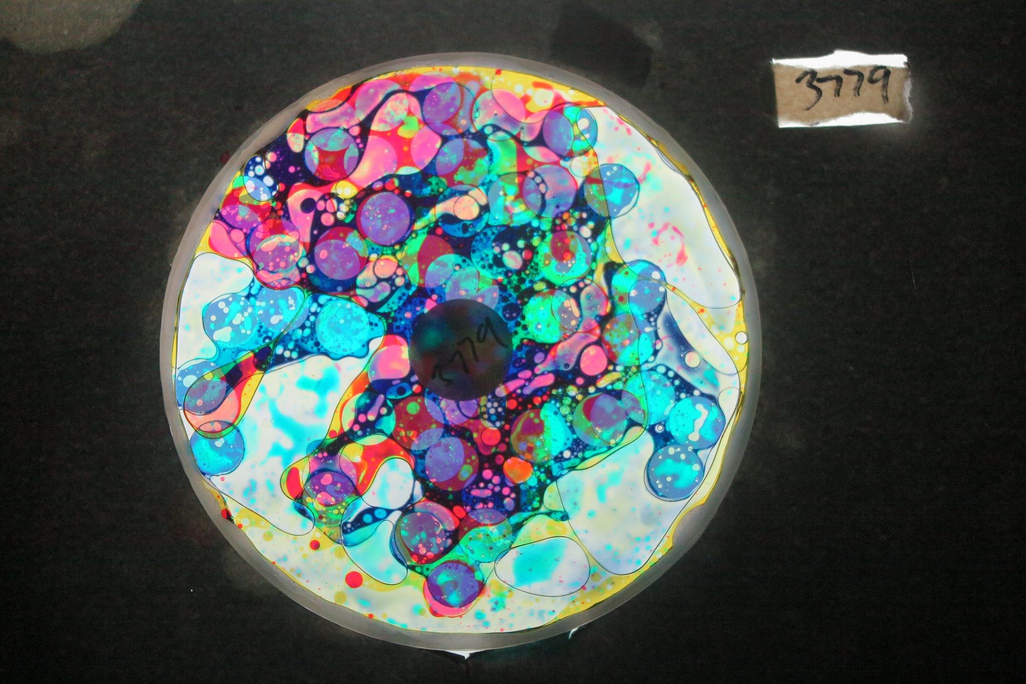 BV3779 bubble vision oil wheel